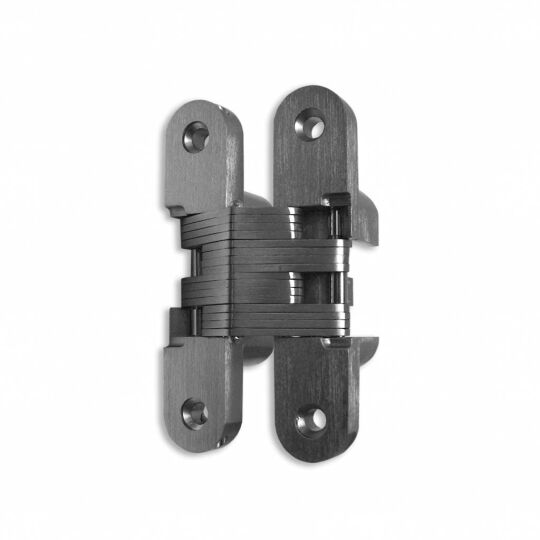 Blinde Scharnier infrees RVS 